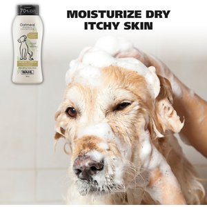 Wahl Oatmeal Formula Dog Shampoo, Coconut Lime Verbena Scent, 24-fl oz bottle