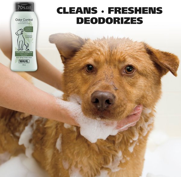 Wahl Odor Control Purifying Dog Shampoo, Eucalyptus & Spearmint Scent, 24-oz bottle
