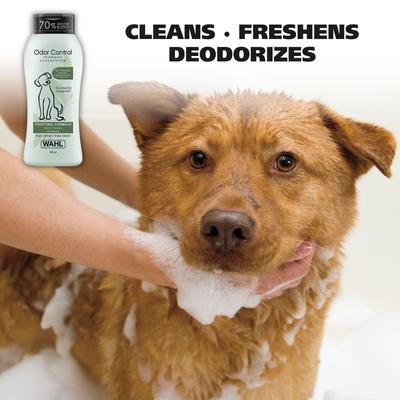 Show full view: Wahl Odor Control Purifying Dog Shampoo, Eucalyptus & Spearmint Scent, 24-oz bottle slide 2 of 9