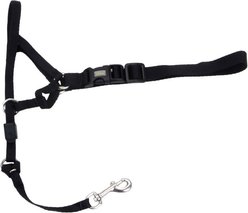 Walk 'n Train Polyester Dog Headcollar, Large: 15 to 20-in neck