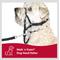 Show in main carousel: Walk 'n Train Polyester Dog Headcollar, Large: 15 to 20-in neck slide 7 of 11
