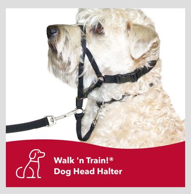 Show full view: Walk 'n Train Polyester Dog Headcollar, Large: 15 to 20-in neck slide 7 of 11