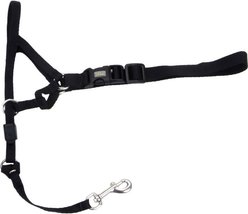 Walk 'n Train Polyester Dog Headcollar, Medium: 14 to 19-in neck