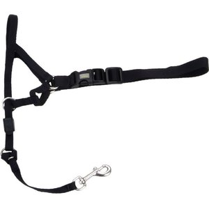 Walk 'n Train Polyester Dog Headcollar, Medium: 14 to 19-in neck