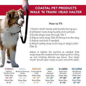 Walk 'n Train Polyester Dog Headcollar, Medium: 14 to 19-in neck