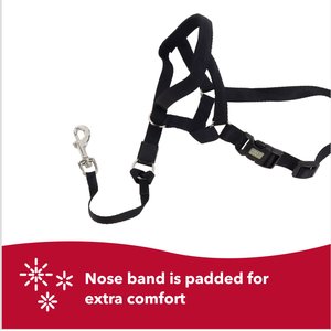 Walk 'n Train Polyester Dog Headcollar, Medium: 14 to 19-in neck