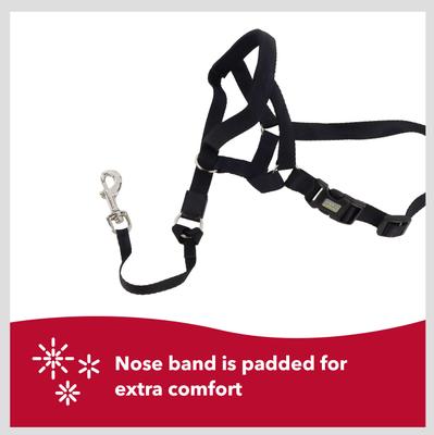 Show full view: Walk 'n Train Polyester Dog Headcollar, Medium: 14 to 19-in neck slide 4 of 11