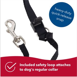 Walk 'n Train Polyester Dog Headcollar, Medium: 14 to 19-in neck
