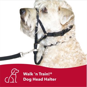 Walk 'n Train Polyester Dog Headcollar, Medium: 14 to 19-in neck