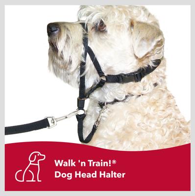 Show full view: Walk 'n Train Polyester Dog Headcollar, Medium: 14 to 19-in neck slide 7 of 11