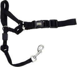 Walk 'n Train Polyester Dog Headcollar, Small: 13 to 17-in neck