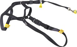 Walk 'n Train Polyester Dog Headcollar, Small: 13 to 17-in neck slide 2 of 9