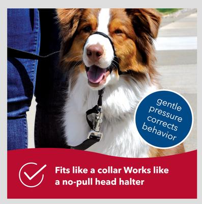 Show full view: Walk 'n Train Polyester Dog Headcollar, Small: 13 to 17-in neck slide 3 of 11