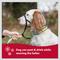 Show in main carousel: Walk 'n Train Polyester Dog Headcollar, Small: 13 to 17-in neck slide 5 of 11