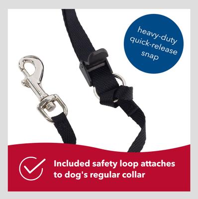 Show full view: Walk 'n Train Polyester Dog Headcollar, Small: 13 to 17-in neck slide 6 of 11