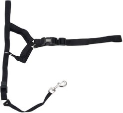 Walk 'n Train Polyester Dog Headcollar, X-Large: 17 to 24-in neck