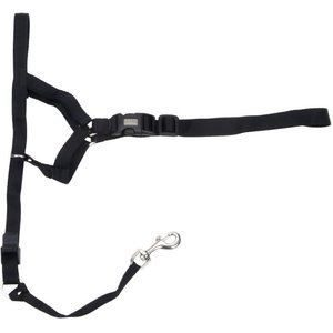 Walk 'n Train Polyester Dog Headcollar, X-Large: 17 to 24-in neck