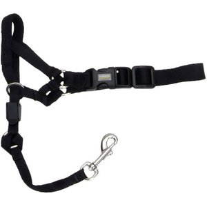 CollarDirect German Shepherd Leather Dog Muzzle