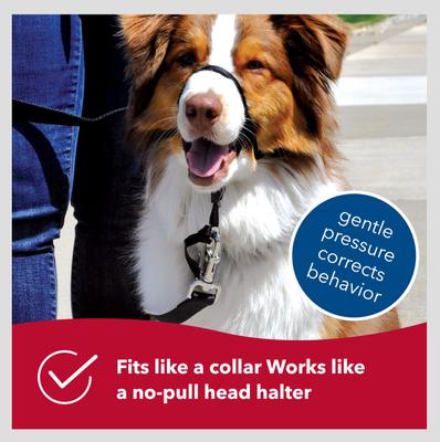 Show full view: Walk 'n Train Polyester Dog Headcollar, X-Small: 10 to 13-in neck slide 4 of 12