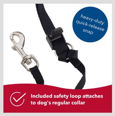 Show full view: Walk 'n Train Polyester Dog Headcollar, X-Small: 10 to 13-in neck slide 7 of 12