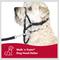 Show in main carousel: Walk 'n Train Polyester Dog Headcollar, X-Small: 10 to 13-in neck slide 8 of 12