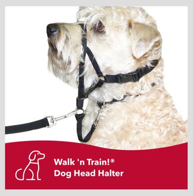 Show full view: Walk 'n Train Polyester Dog Headcollar, X-Small: 10 to 13-in neck slide 8 of 12