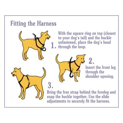 Show full view: WALKABOUT Chest Halter Adjustable Dog & Cat Harness, Black, Large slide 2 of 6