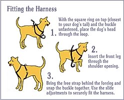 WALKABOUT Chest Halter Adjustable Dog & Cat Harness, Black, Small slide 2 of 6