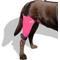 Show in main carousel: WALKABOUT Dog & Cat Knee Brace, Pink, X-Large Left slide 6 of 8