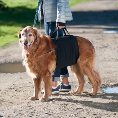Show full view: WALKABOUT Walkabelly Support Sling Dog Harnesss, Black, Medium/Large slide 4 of 7