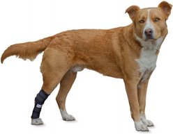 Walkin' Pets Dog Walkin' Hock Hugger, Black, X-Small