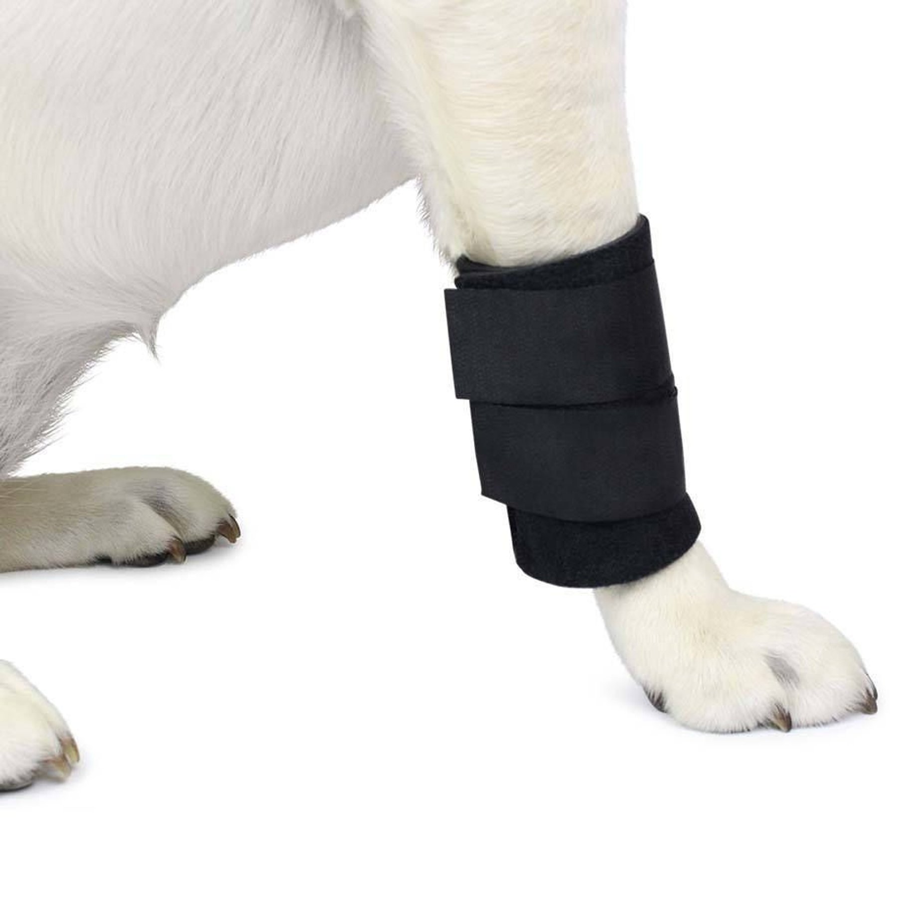Walkin' Pets Dog Walkin' Wrist Hugger, Black, Large