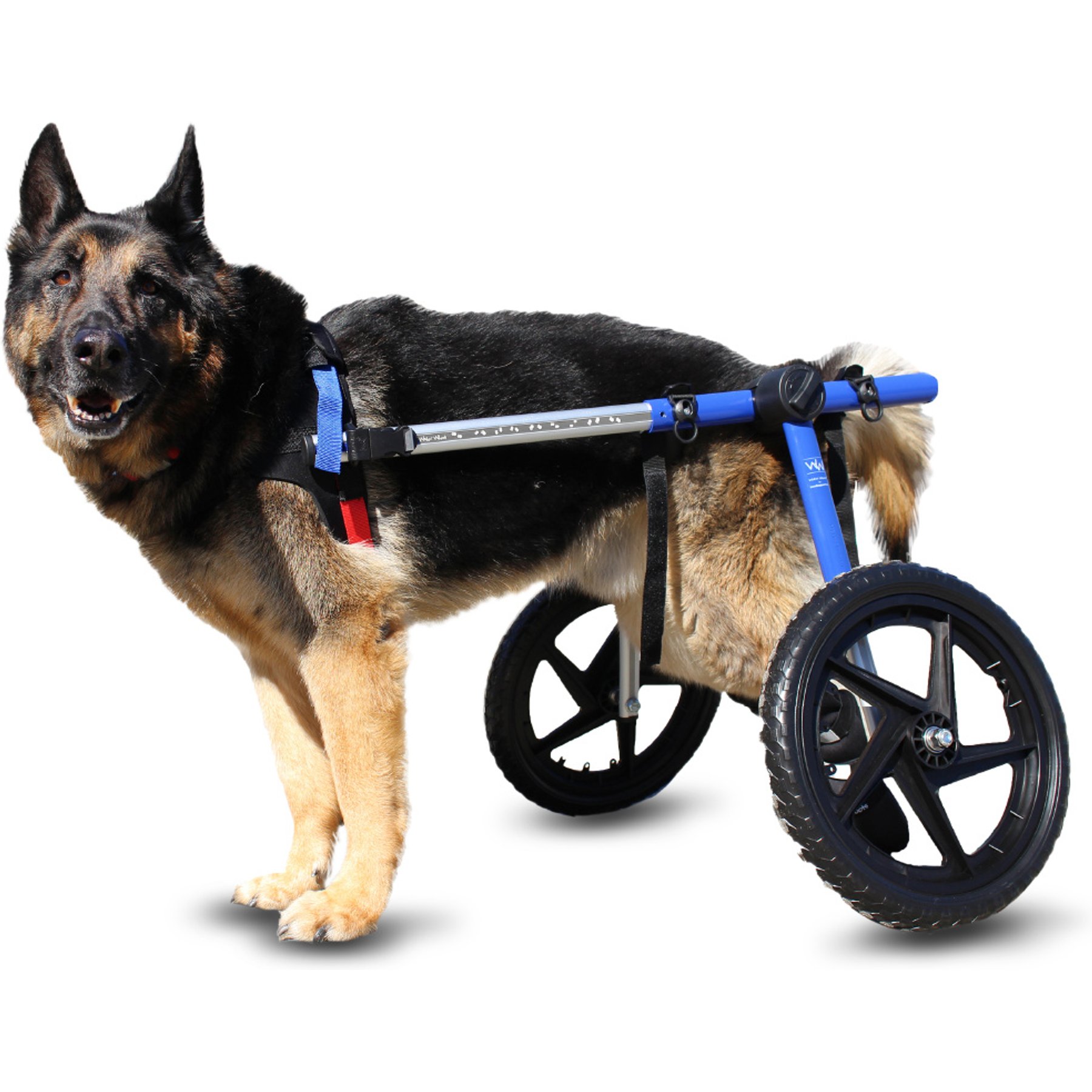 Walkin' Pets Large Dog Wheelchair, Blue, 70-150 lbs, 14-16" leg