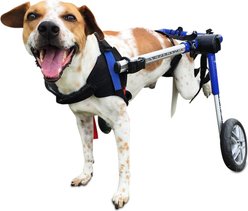 Walkin' Pets Medium Dog Wheelchair, Blue, 26-50 lbs, 10-12" leg