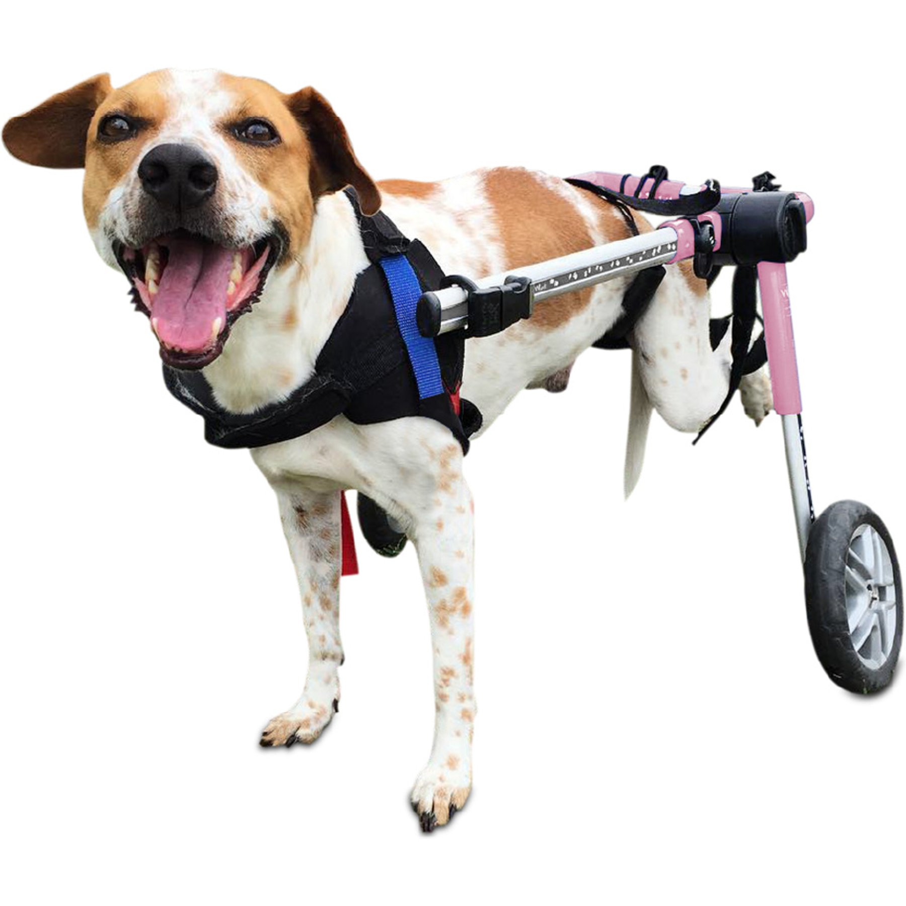 Walkin' Pets Medium Dog Wheelchair, Pink, 26-50 lbs, 10-12" leg
