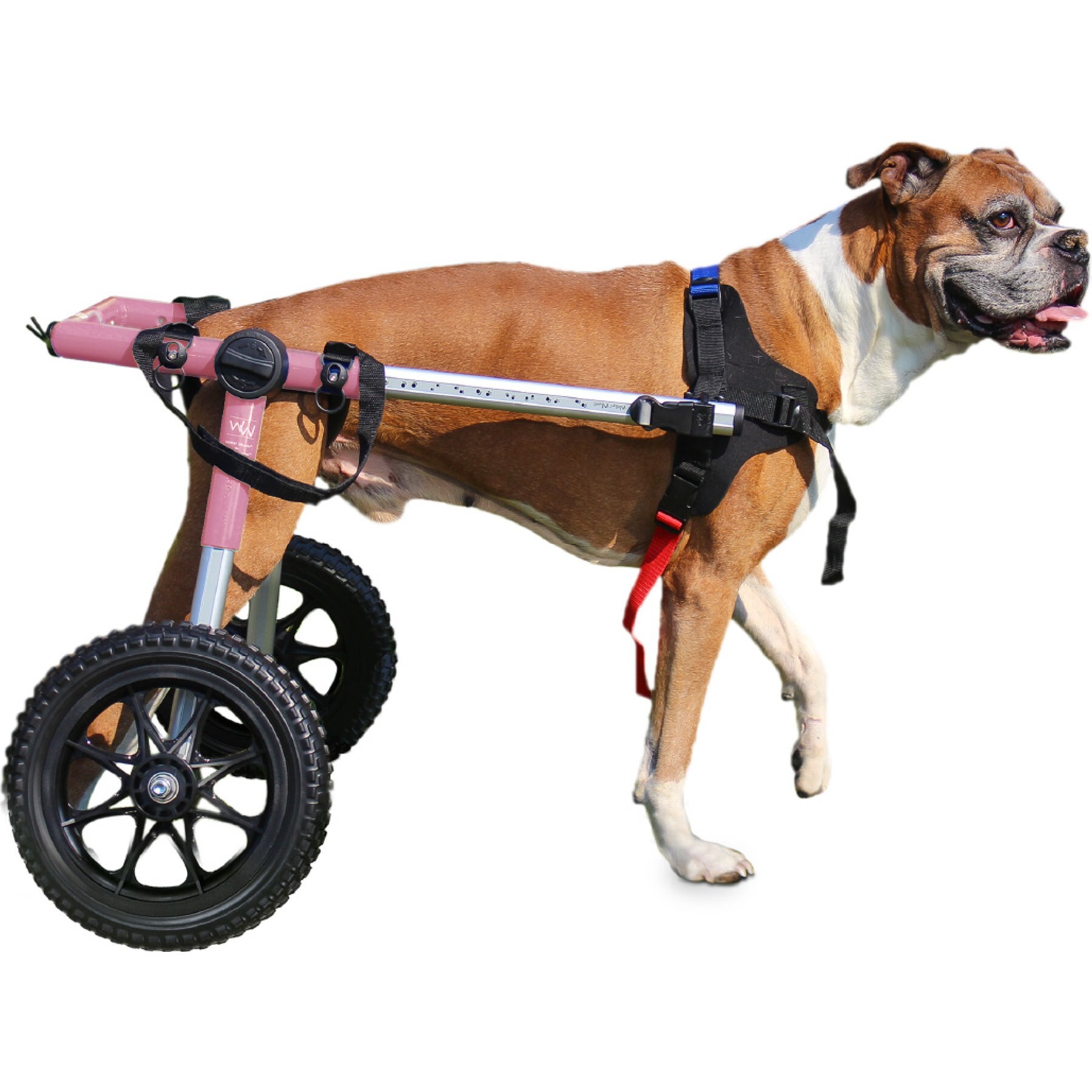 Walkin' Pets Medium Dog Wheelchair, Pink, 51-69 lbs, 21-22" leg