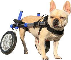 Walkin' Pets Small Dog Wheelchair, Blue, 15-25 lbs, 12-15" rear leg height