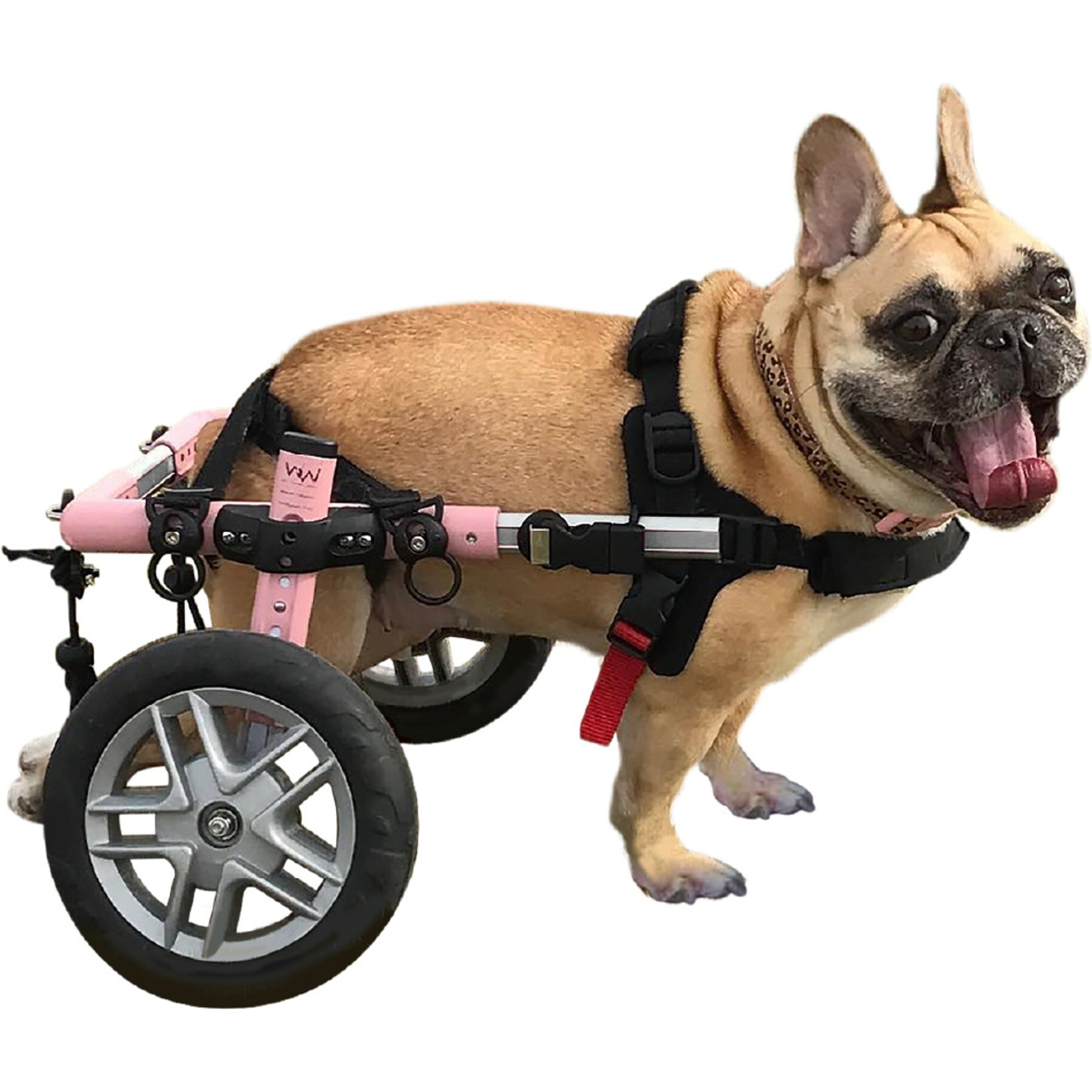 Walkin' Pets Small Dog Wheelchair, Pink, 15-25 lbs, 6-8" rear leg height