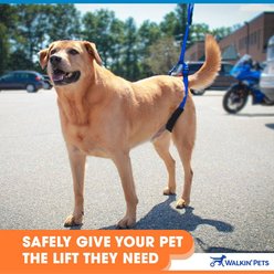 Walkin' Pets Up-n-Go Dog Leash slide 2 of 5