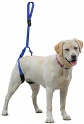 Walkin' Pets Up-n-Go Dog Leash