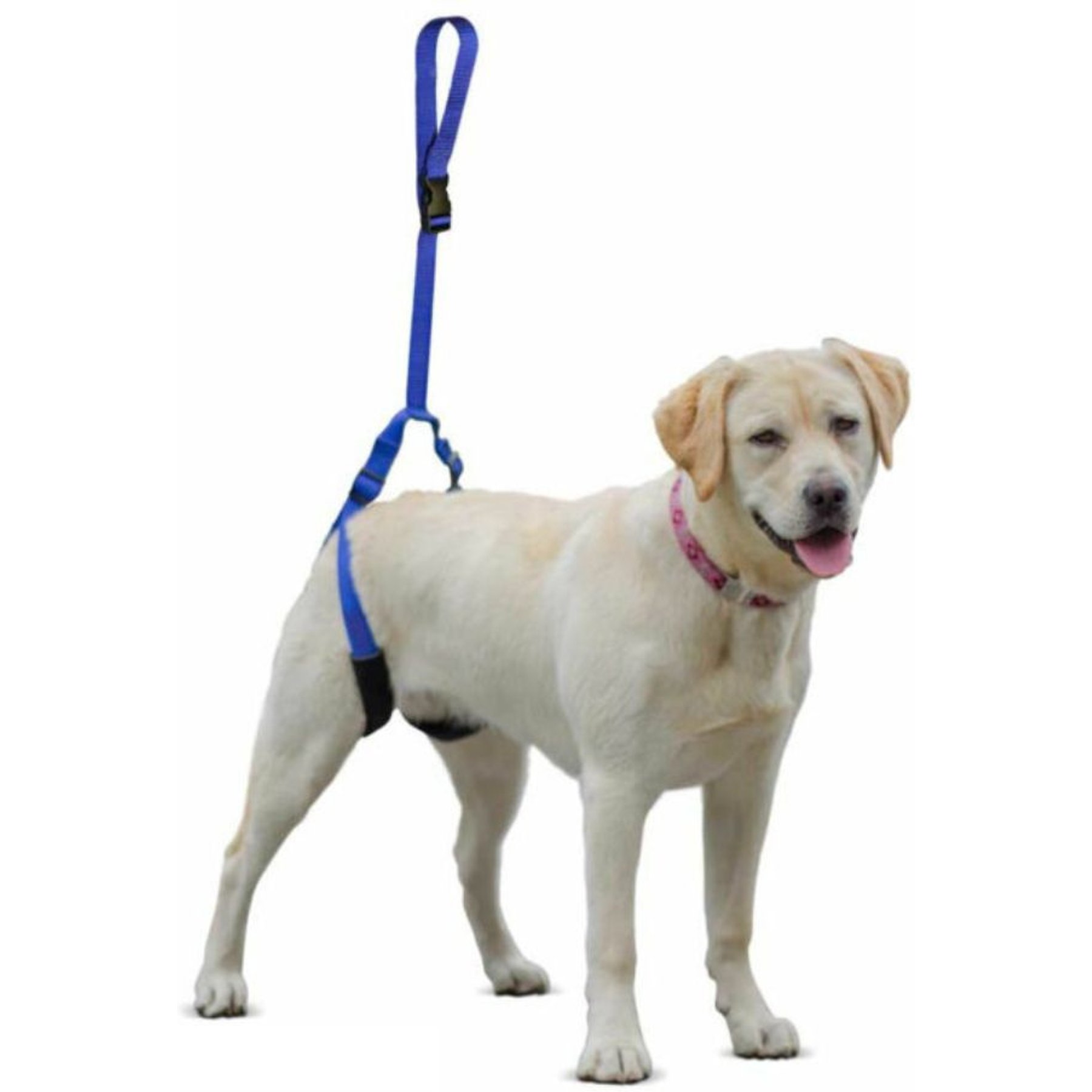 Walkin' Pets Up-n-Go Dog Leash