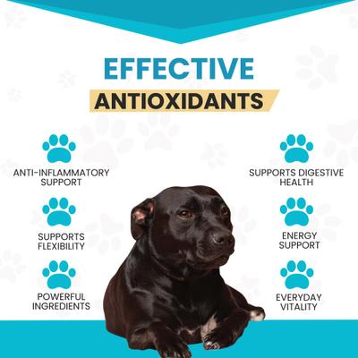 Show full view: Wanderfound Pets 10-In-1 Multi-vitamin + Glucosamine Liver Flavor Dog Supplement, 60 count slide 5 of 11
