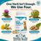 Show in main carousel: Wanderfound Pets Milk Thistle Liver Support Salmon & Bacon Flavor Dog Supplement, 100 count slide 4 of 11