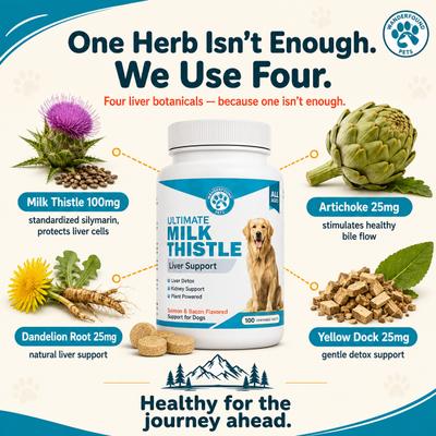 Show full view: Wanderfound Pets Milk Thistle Liver Support Salmon & Bacon Flavor Dog Supplement, 100 count slide 4 of 11
