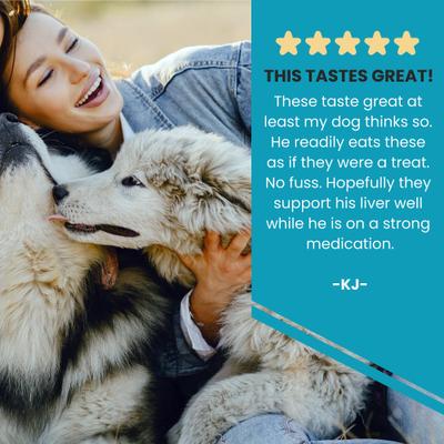 Show full view: Wanderfound Pets Milk Thistle Liver Support Salmon & Bacon Flavor Dog Supplement, 100 count slide 7 of 12