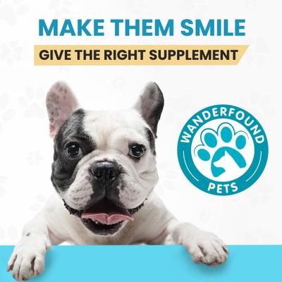 Show full view: Wanderfound Pets Milk Thistle Liver Support Salmon & Bacon Flavor Dog Supplement, 100 count slide 9 of 12