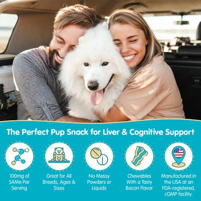 Show full view: Wanderfound Pets SAMe 100 Liver Support for Dogs, 30 count slide 3 of 12