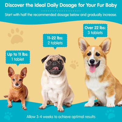 Show full view: Wanderfound Pets SAMe 100 Liver Support for Dogs, 30 count slide 5 of 12