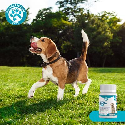 Show full view: Wanderfound Pets SAMe 100 Liver Support for Dogs, 30 count slide 9 of 12