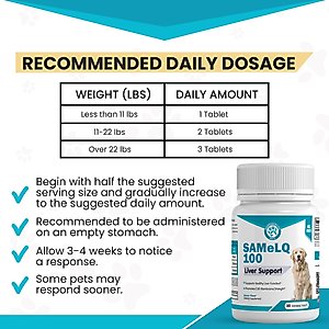 Wanderfound Pets SAMe 100 Liver Support for Dogs, 60 count